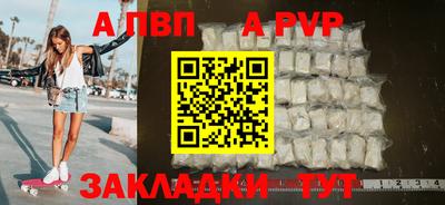стаф Кунгур