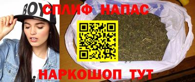 стаф Кунгур