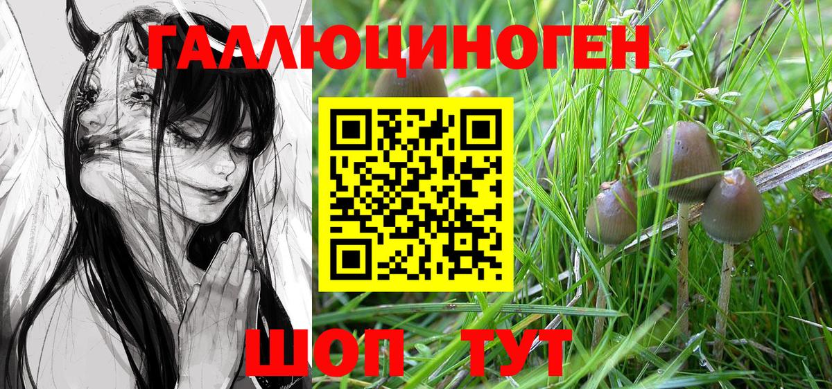Югорск  Псилоцибиновые грибы Magic Shrooms  Вход с VPN  Галлюциногенные грибы Cubensis 