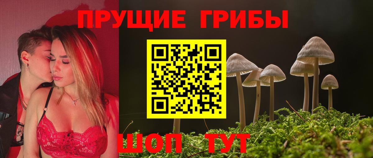 Псилоцибиновые грибы мицелий Югорск